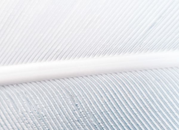 Path of Least Resistance: Hosting Shiny Apps on Shinyapps.io